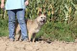 ADULTE ET CHIEN 087